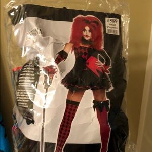Harley Quinn clown costume